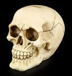 Figuren-shop 33 Figuren-shop -Figuren-shop 11355 1 spardose 1 1280x1280