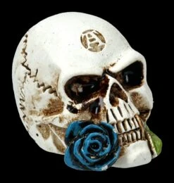 Alchemy Logo Schädel - Alchemist Klein