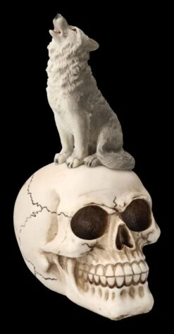 Totenkopf Mit Grauem Wolf