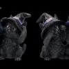 Hexen Katzen Figuren - Nichts Böses 2er Set 15 Hexen Katzen Figuren - Nichts Böses 2er Set -Figuren-shop 2D FS24639 Hexen Katzen Figuren Nichts Boses 2er Set 2 1280x1280