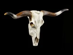 Figuren-shop 29 Figuren-shop -Figuren-shop Grosser Wandrelief Bueffel Schaedel 1 1280x1280